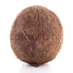 Coconut isolated on white. | Stock image | Colourbox