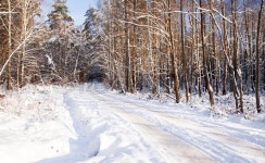 The road photographed in a winter ... | Stock image | Colourbox