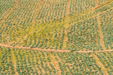 Vegetable of farmers on a mountain in ... | Stock image | Colourbox
