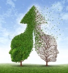 Partnership problems with two trees in ... | Stock image | Colourbox