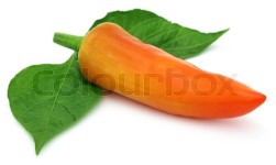 Fresh banana pepper with leaves over ... | Stock image | Colourbox