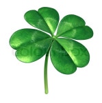 Four leaf clover plant as an Irish ... | Stock image | Colourbox