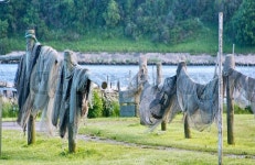Fishing Nets | Stock image | Colourbox