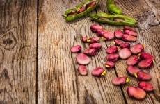 Fresh Tasty Beans Studio Photo | Stock image | Colourbox