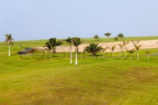 Palms on an exotic golf course | Stock image | Colourbox