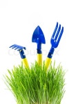 Garden tools - spade, rake, fork -  in ... | Stock image | Colourbox