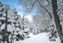 winter snow | Stock image | Colourbox &quot;winter snow&quot; | Stock image | Colourbox
