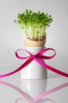 Easter egg shell with greens and pink ... | Stock image | Colourbox