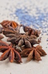 Anise stars | Stock image | Colourbox
