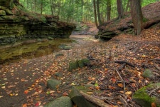 A beautiful scene along the Sulpher ... | Stock image | Colourbox