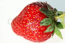 Close view of the strawberries on the ... | Stock image | Colourbox