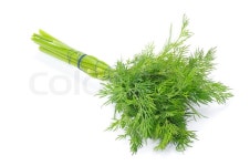 Dill | Stock image | Colourbox