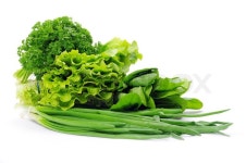 Herbs | Stock image | Colourbox