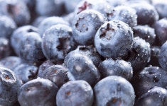 Blueberry | Stock image | Colourbox