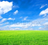 Field | Stock image | Colourbox