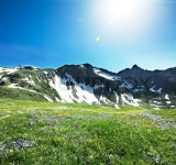 Meadow | Stock image | Colourbox