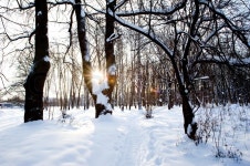In the park | Stock image | Colourbox