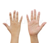 Hand women | Stock image | Colourbox