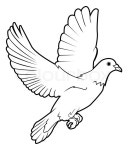 Dove peace | Stock vector | Colourbox