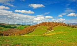 Farmhouses | Stock image | Colourbox