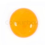 Egg yolk closeup on white | Stock image | Colourbox