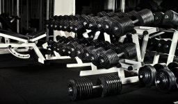 Many black dumbbells in dark weight ... | Stock image | Colourbox