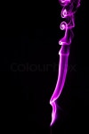 Mistery beautiful smoke on the black ... | Stock image | Colourbox