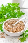 Coriander | Stock image | Colourbox