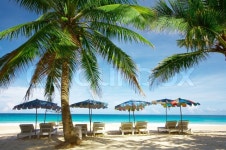 View of nice exotic tropic beach early ... | Stock image | Colourbox