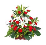 Close up lily - carnation - monstera ... | Stock image | Colourbox