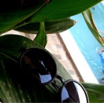 Ghadi_alsmran (@GHDE33) — 491개 답변, 5362개 좋아요 | ASKfm Ghadi_alsmran (@GHDE33). Ask me anything on ASKfm