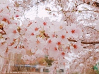 시험에 미치는 헤헿.. (@zxcvbnm7550) — 51개 답변 | ASKfm 시험에 미치는 헤헿.. (@zxcvbnm7550). Ask me anything on ASKfm