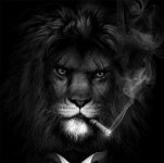 Ayman (@Ayman2798) — 3807개 답변, 9727개 좋아요 | ASKfm Ayman (@Ayman2798). Ask me anything on ASKfm