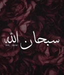 HuDa (@hud3558) — 283개 답변, 10255개 좋아요 | ASKfm HuDa (@hud3558). Ask me anything on ASKfm