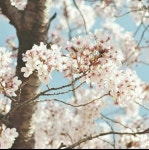 수아 (@Jungsooa0131) — 504개 답변, 248개 좋아요 | ASKfm 수아 (@Jungsooa0131). Ask me anything on ASKfm