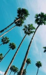 Elsattachiante (@Elsa_LSG) — 1053개 답변, 1362개 좋아요 | ASKfm Elsattachiante (@Elsa_LSG). Ask me anything on ASKfm