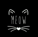 Stelu (@Steliku) — 4455개 답변, 24757개 좋아요 | ASKfm Stelu (@Steliku). Ask me anything on ASKfm