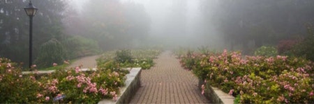 رهففف (@r3_39) — 29 answers, 1040 likes | ASKfm رهففف (@r3_39). Ask me anything on ASKfm