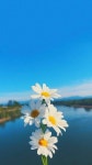 pika_haruka (@pika_haruka) — 87 answers, 132 likes | ASKfm pika_haruka (@pika_haruka). Ask me anything on ASKfm