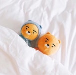 조민화 | ASKfm