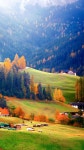 Данила Паршин (@parshinntopoviy) — 59 answers, 198 likes | ASKfm Данила Паршин (@parshinntopoviy). Ask... 