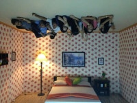 Florence Nathania (@florenceenp) — 261 answers, 1491 likes | ASKfm Florence Nathania (@florenceenp). Ask me anything on ASKfm