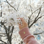 길봄 (@gilbom590) — 9 answers | ASKfm 길봄 (@gilbom590). Ask me anything on ASKfm