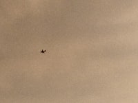 –NupJ♡ (@unknown4509) — 722 answers, 564 likes | ASKfm –NupJ♡ (@unknown4509). Ask me anything on ASKfm