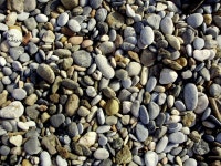 Никита Сорокин (@paul73rsg) — 1178 answers, 54 likes | ASKfm Никита Сорокин (@paul73rsg). Ask me... 