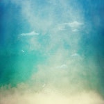 Abdullah (@Abi2198) — 뭐든지 질문하세요 | ASKfm Abdullah (@Abi2198). Ask me anything on ASKfm