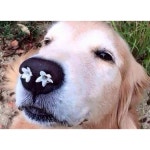 허유정 (@sksdnwkd) — Ask me anything | ASKfm 허유정 (@sksdnwkd). Ask me anything on ASKfm