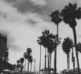 ✖️|M A J D (@mix7__) — 498 answers, 11592 likes | ASKfm ✖️|M A J D (@mix7__). Ask me anything on ASKfm