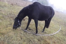 GiNtĖ (@gintariukasx0x) — 1080개 답변, 3833개 좋아요 | ASKfm GiNtĖ (@gintariukasx0x). Ask me anything on ASKfm