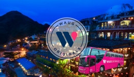 3+1프로모션: 와그 핑크 대만 예스진지 버스투어 - 와그 WAUG
